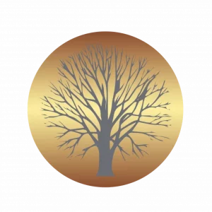 prime2place-imoveis